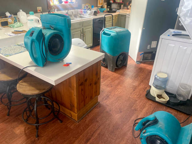 Best Carpet water damage restoration  in San Diego, TX