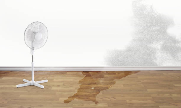 Best Commercial water damage restoration  in San Diego, TX