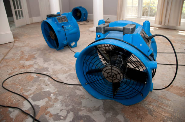 Best Carpet water damage restoration  in San Diego, TX