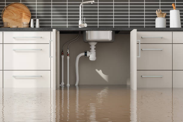 Best Local water damage restoration  in San Diego, TX