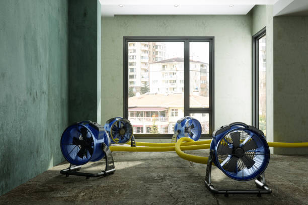Best Fire Damage Restoration  in San Diego, TX