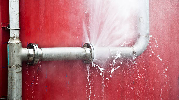 Best Mold removal after water damage  in San Diego, TX